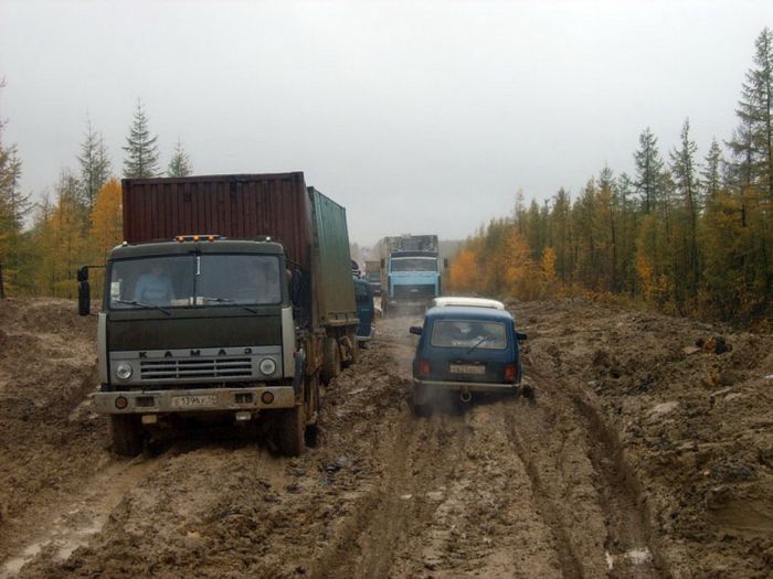 Порция картинок