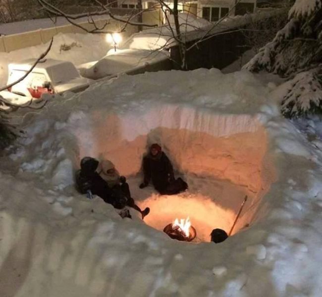 Забавные картинки