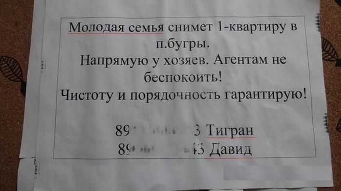 Забавные картинки