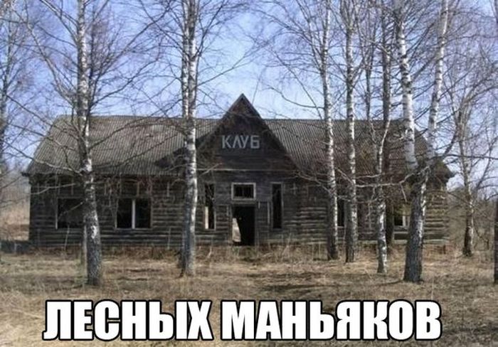 Забавные картинки