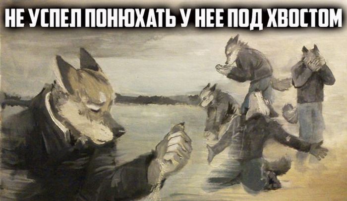Забавные картинки
