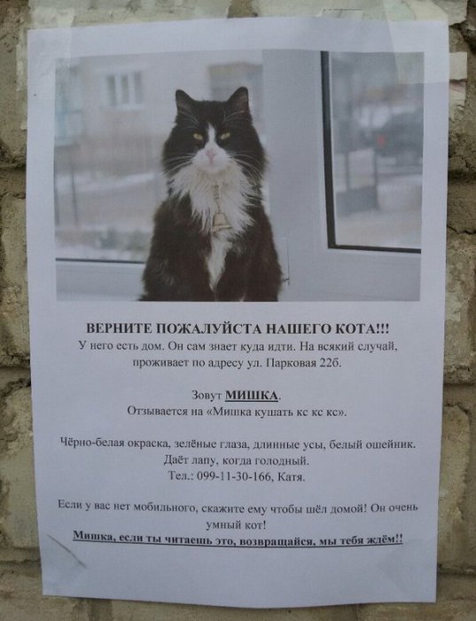 Забавные картинки