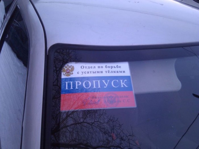 Забавные картинки