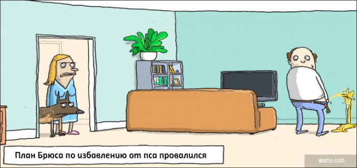 Забавные картинки