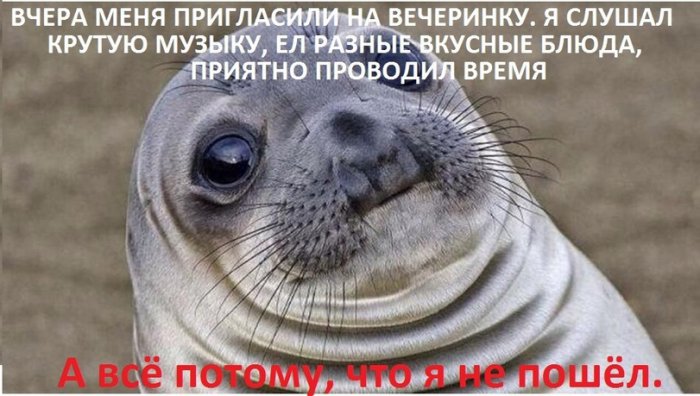 Забавные картинки