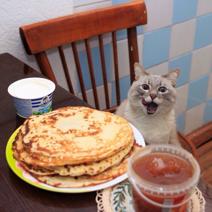 Забавные картинки