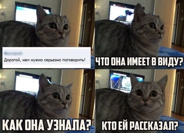 Забавные картинки