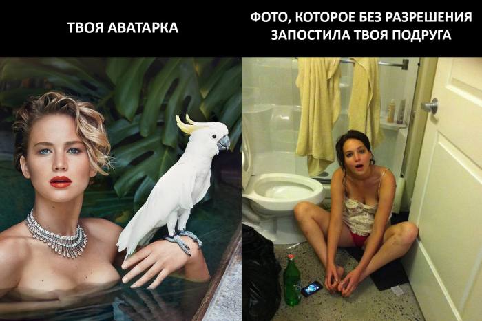 Забавные картинки