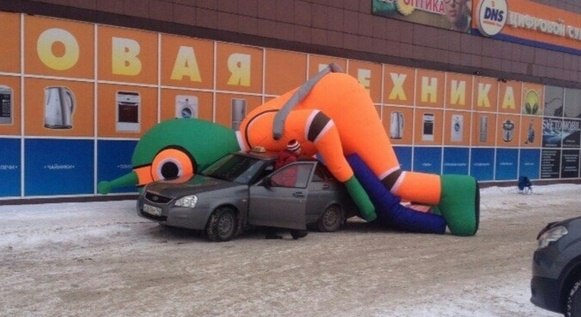 Забавные картинки