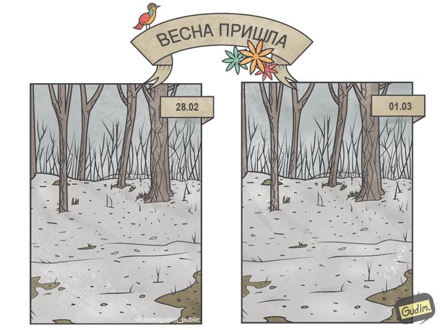 Забавные картинки