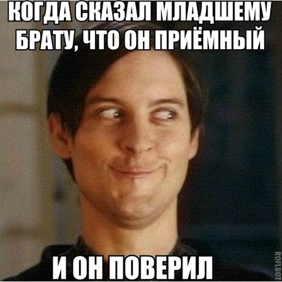 Забавные картинки