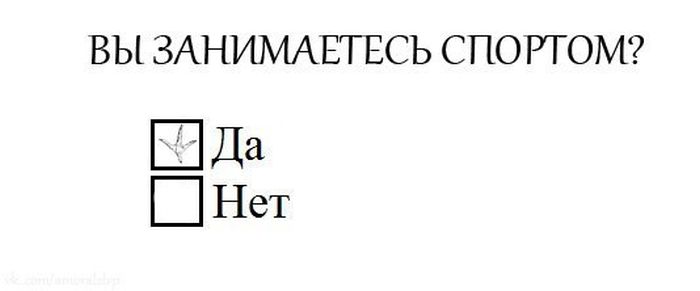 Забавные картинки