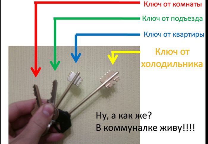 Забавные картинки