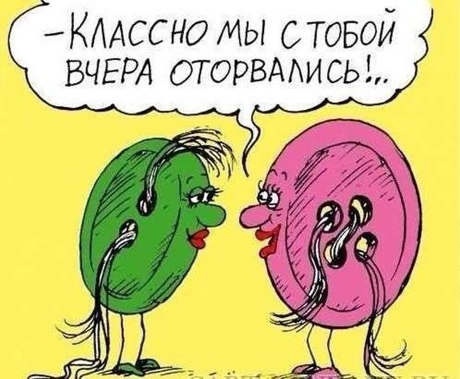 Забавные картинки