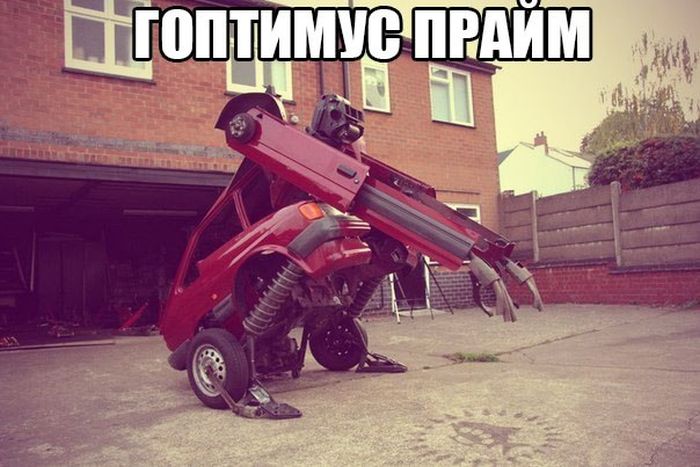 Забавные картинки