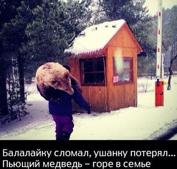 Забавные картинки