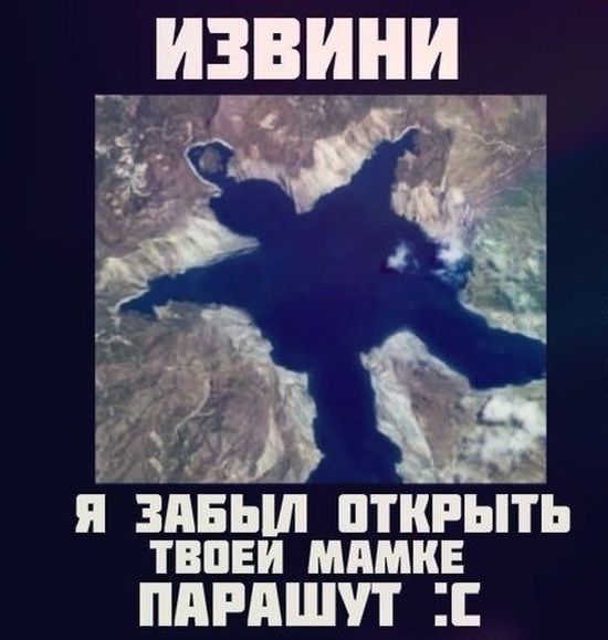 Забавные картинки