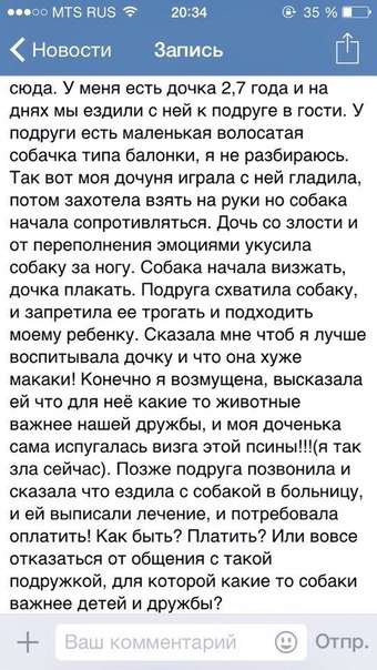 Забавные картинки