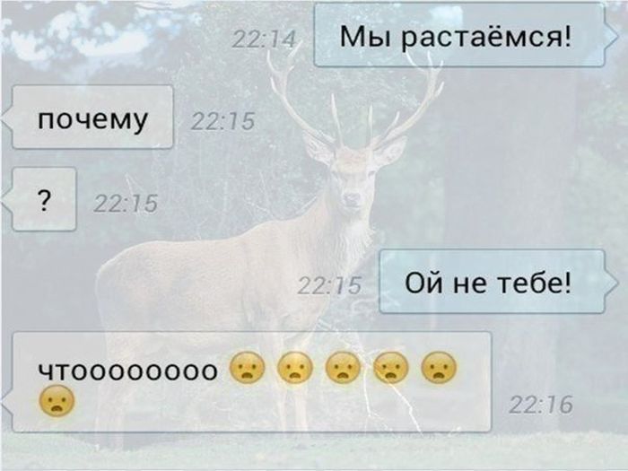 Забавные картинки