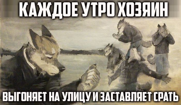 Забавные картинки