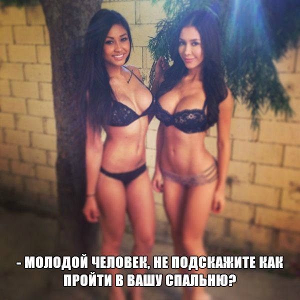 Забавные картинки