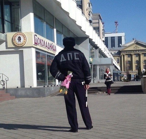 Забавные картинки