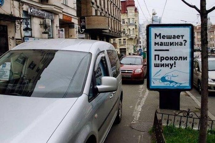 Забавные картинки