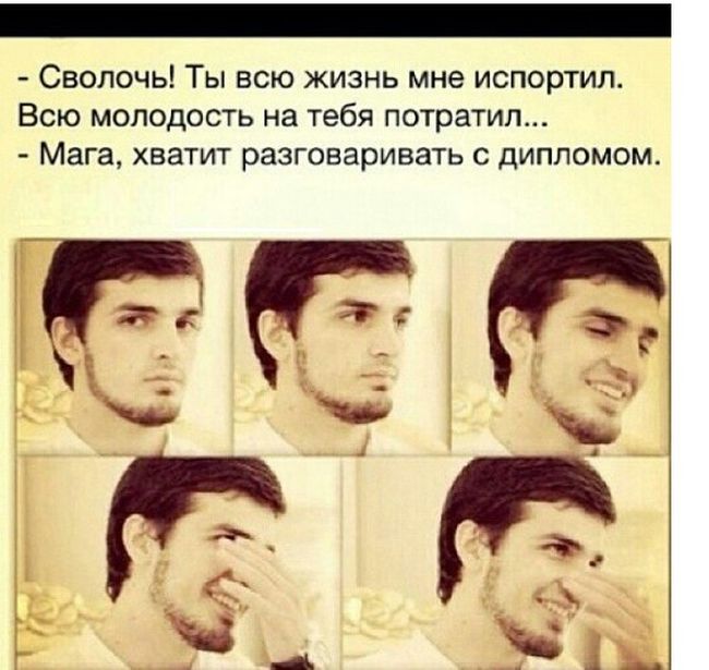 Забавные картинки