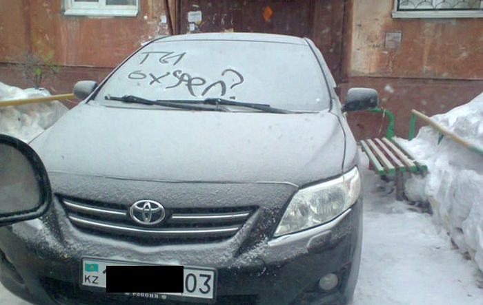 Забавные картинки