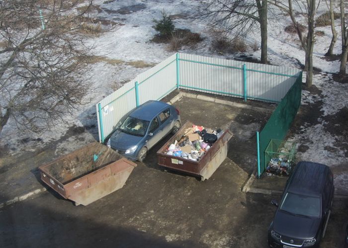 Забавные картинки