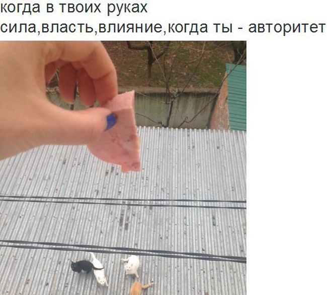 Забавные картинки