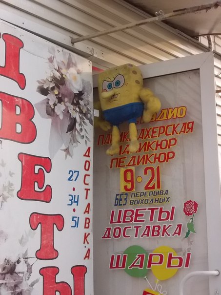 Забавные картинки