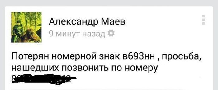 Забавные картинки