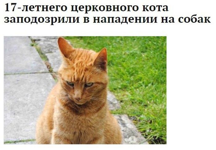 Забавные картинки