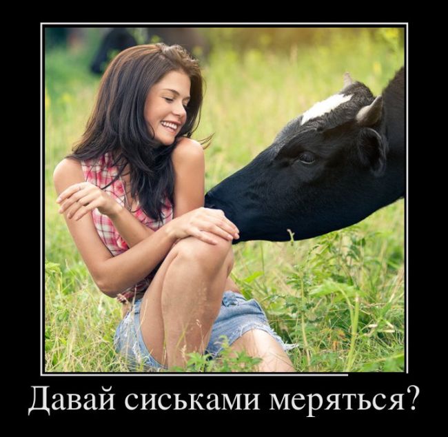 Забавные картинки
