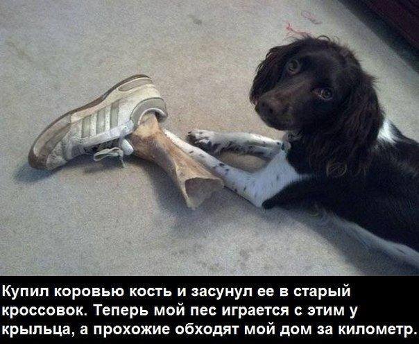 Забавные картинки