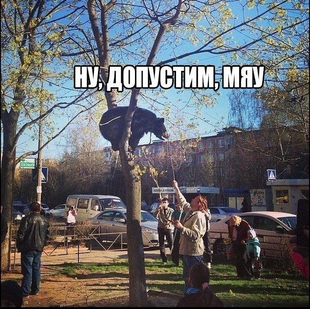 Забавные картинки