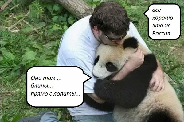 Забавные картинки