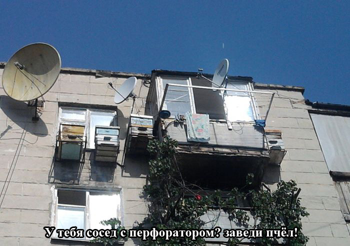 Забавные картинки