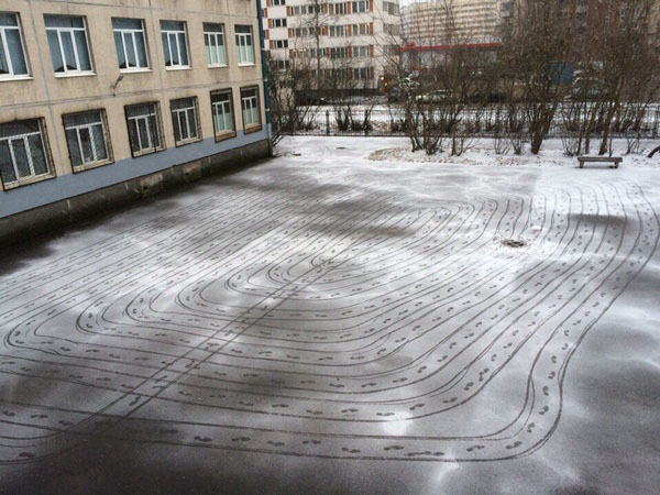 Забавные картинки