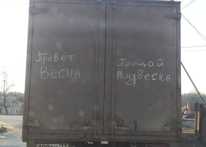 Забавные картинки