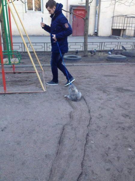 Забавные картинки