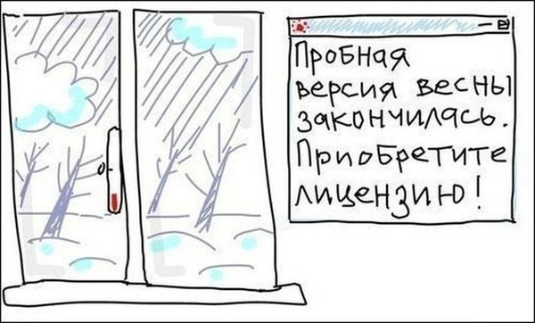 Забавные картинки