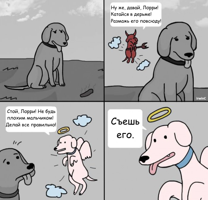 Забавные картинки