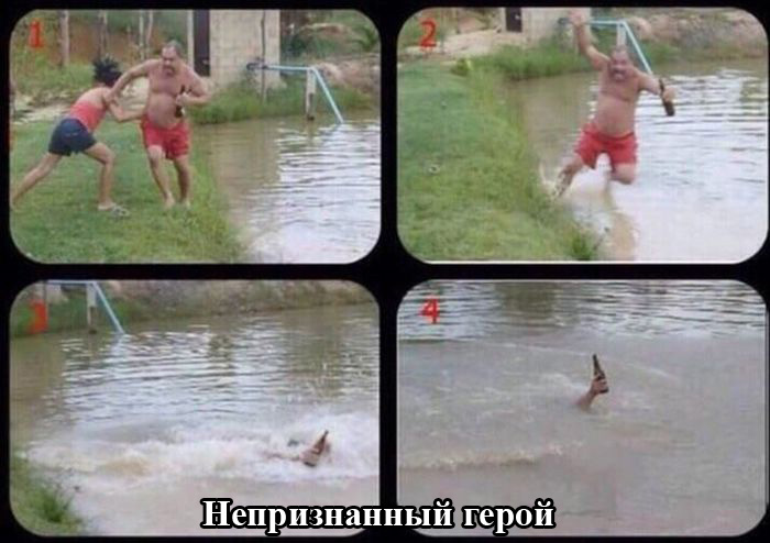 Забавные картинки