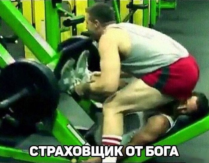 Забавные картинки