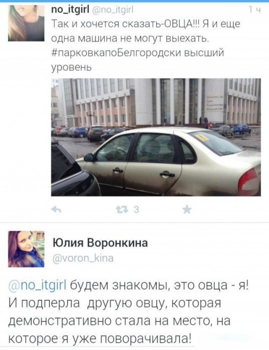 Забавные картинки