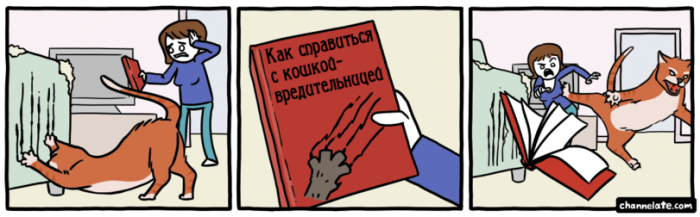 Забавные картинки