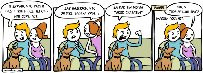 Забавные картинки