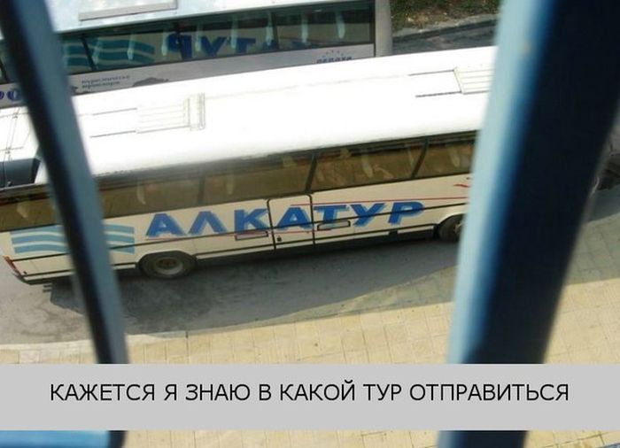 Забавные картинки